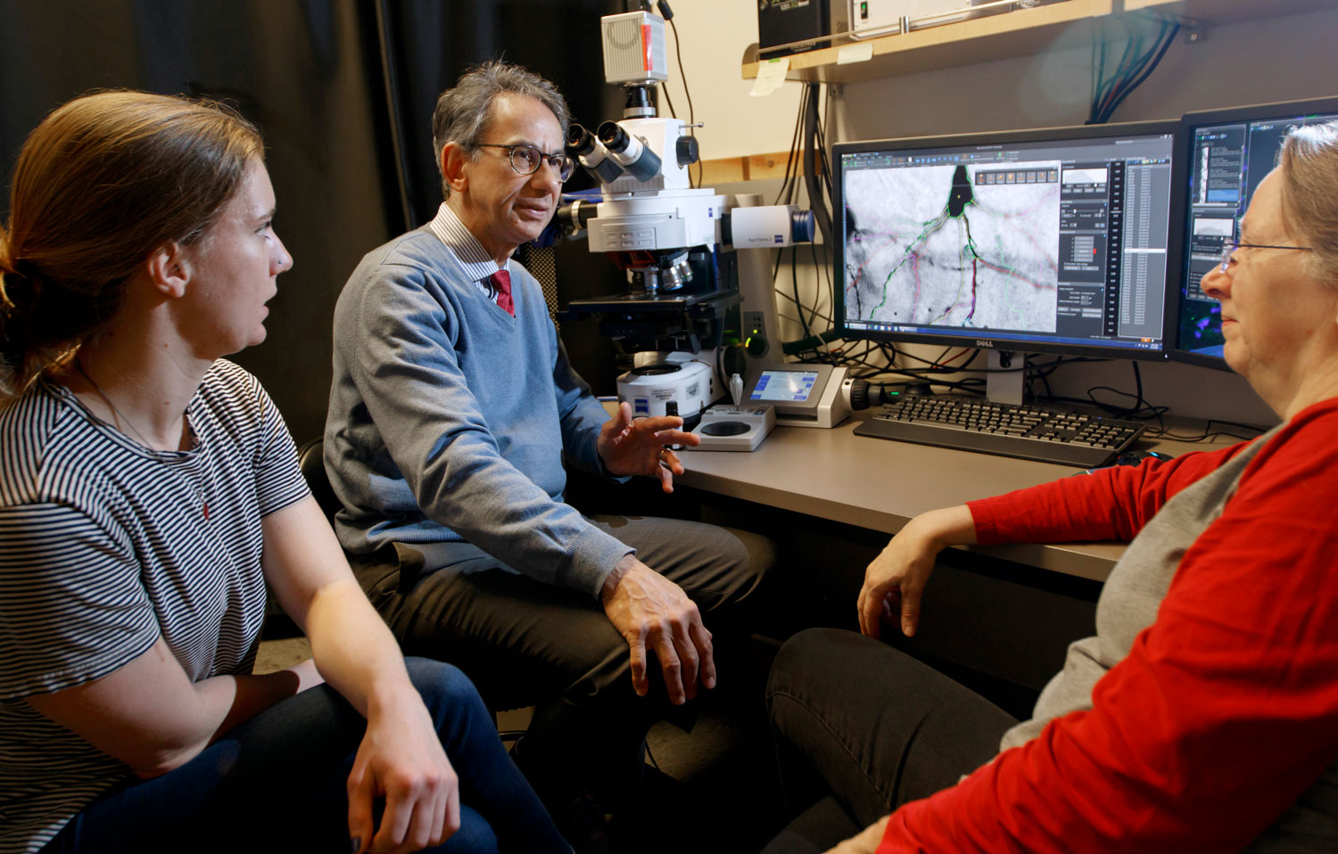 Researchers discussing a brain cell image