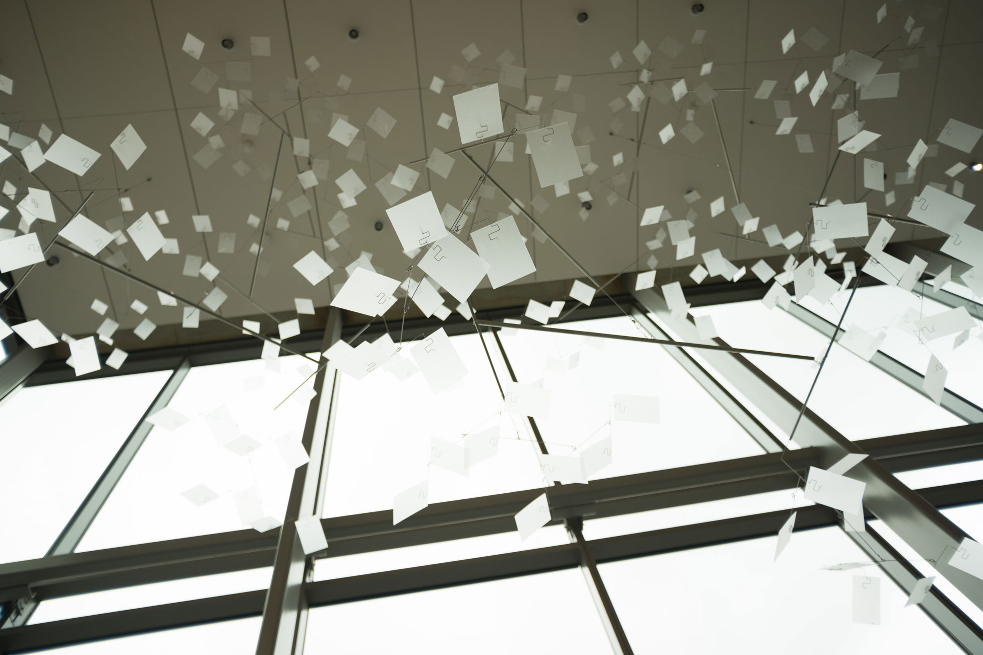 Blank white cards hang in an art installation at the Knight Cancer Research Building
