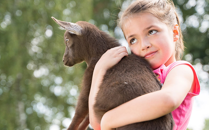 Young Girl Grinning and Holding Baby Goat