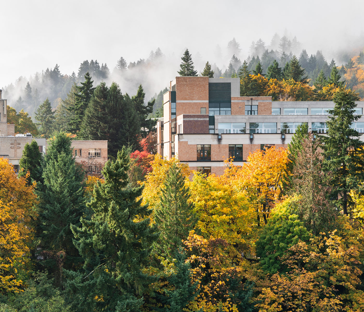 School of Nursing in the autumn leaves and mist
