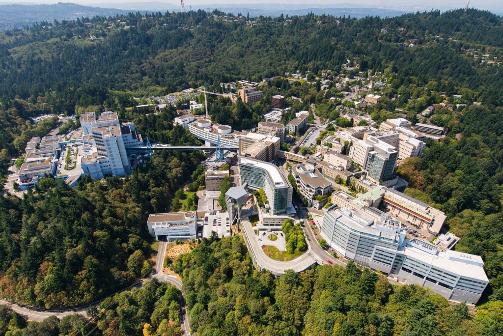 Aerial photo of Marquam Hill camps