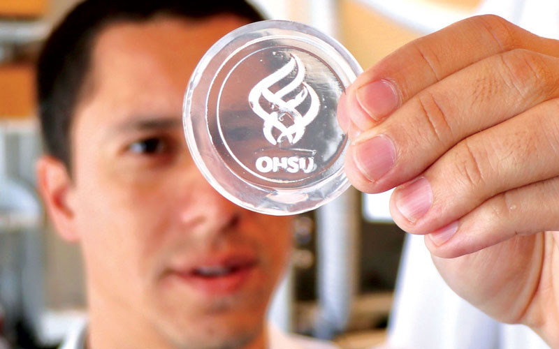 Luis Bertassoni holds up an example of engineered bone tissue in the shape of the OHSU logo