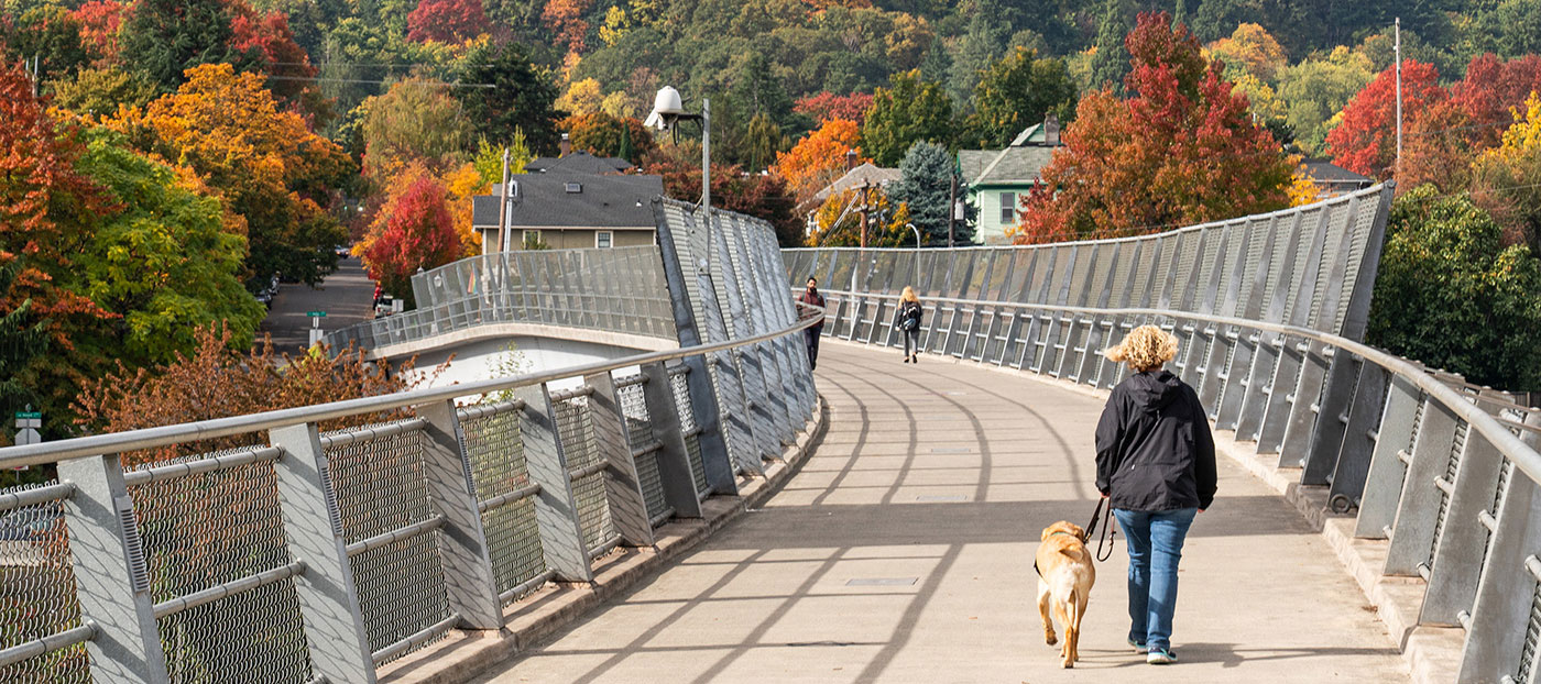 A woman walks her dog across Gibbs Street pedestrian bridge; autumn leaves in distance