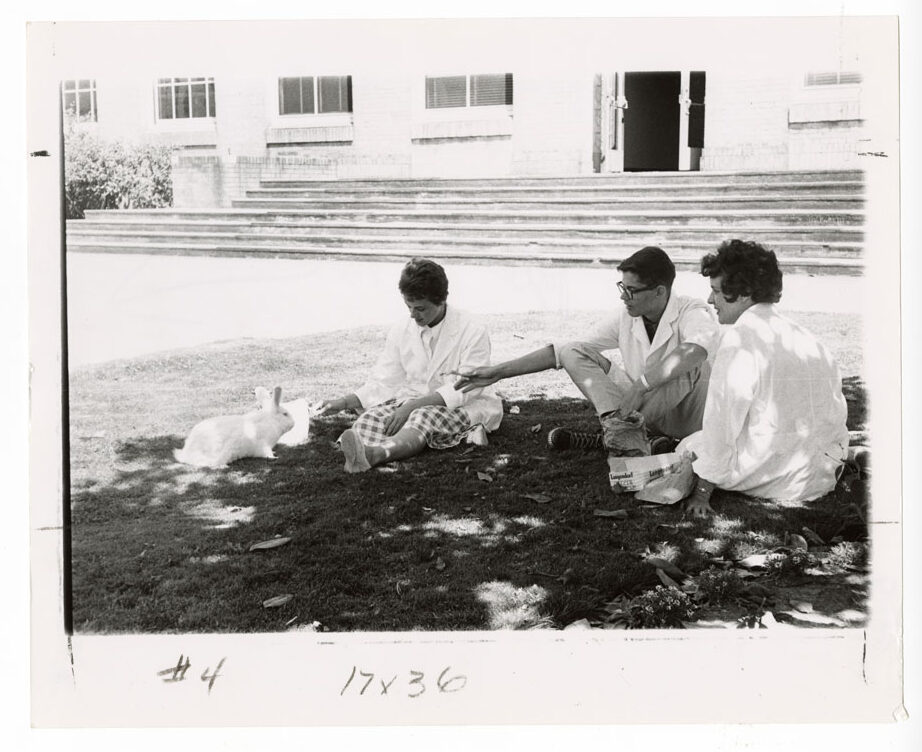 Two young women and a young man wearing white coats with a white rabbit sitting on the grass under a tree.