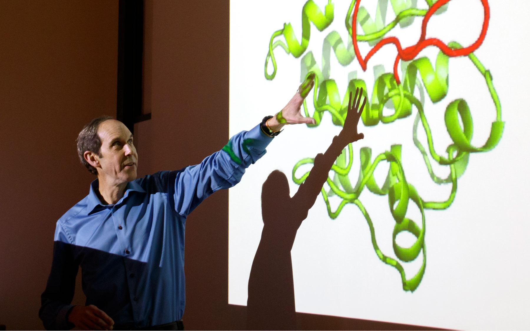 Brian Druker, M.D., discusses how the targeted cancer therapy Gleevec works
