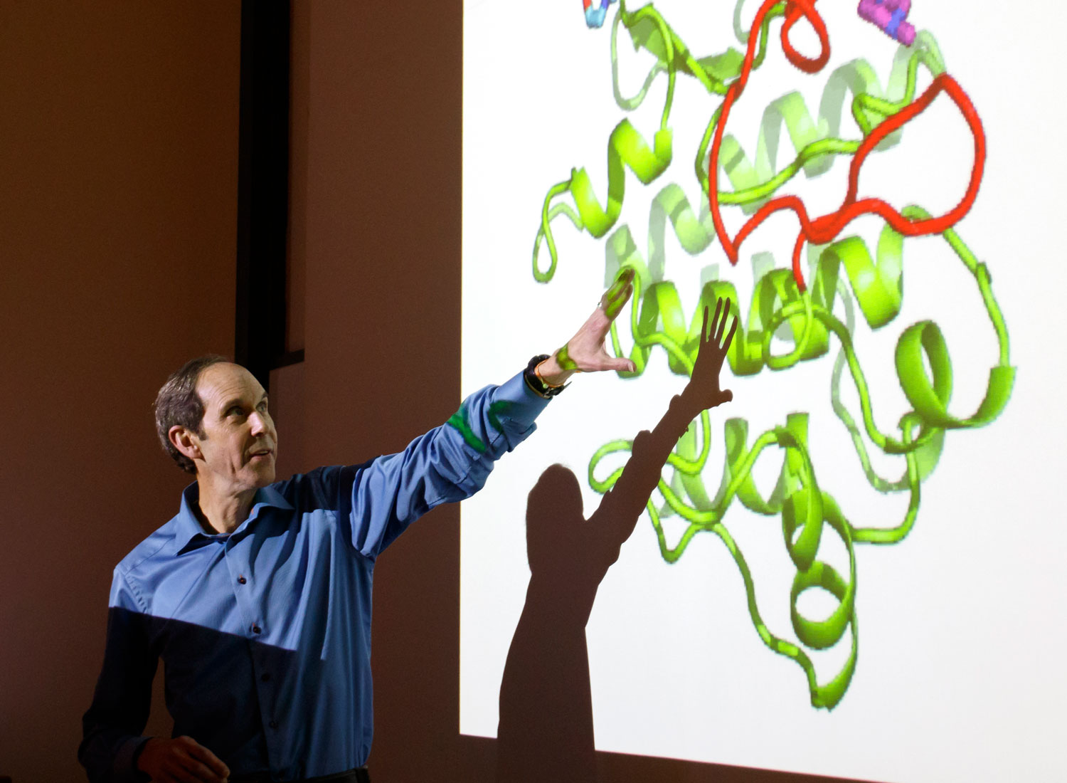 Brian Druker, M.D., discusses how the targeted cancer therapy Gleevec works