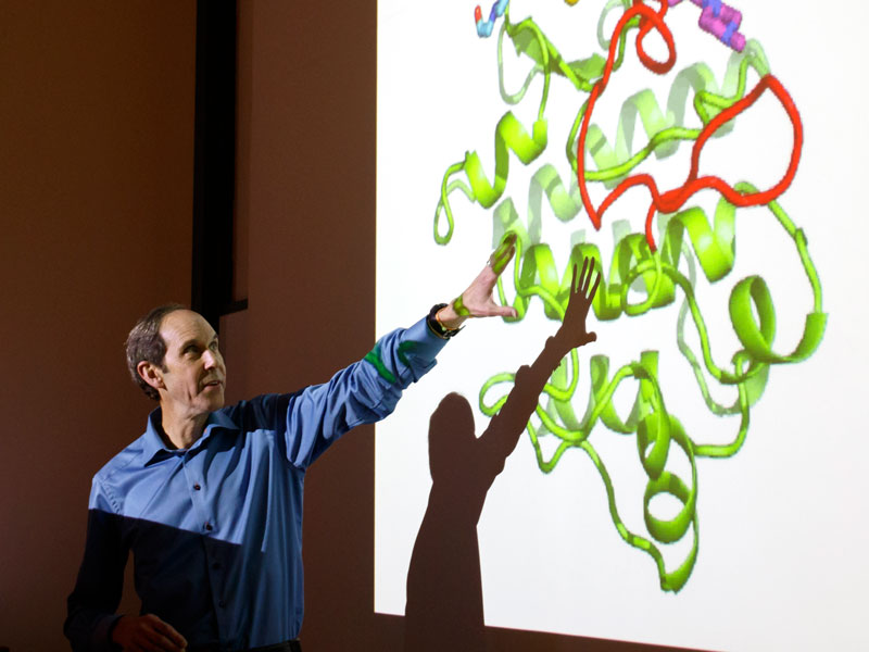 Brian Druker, M.D., discusses how the targeted cancer therapy Gleevec works