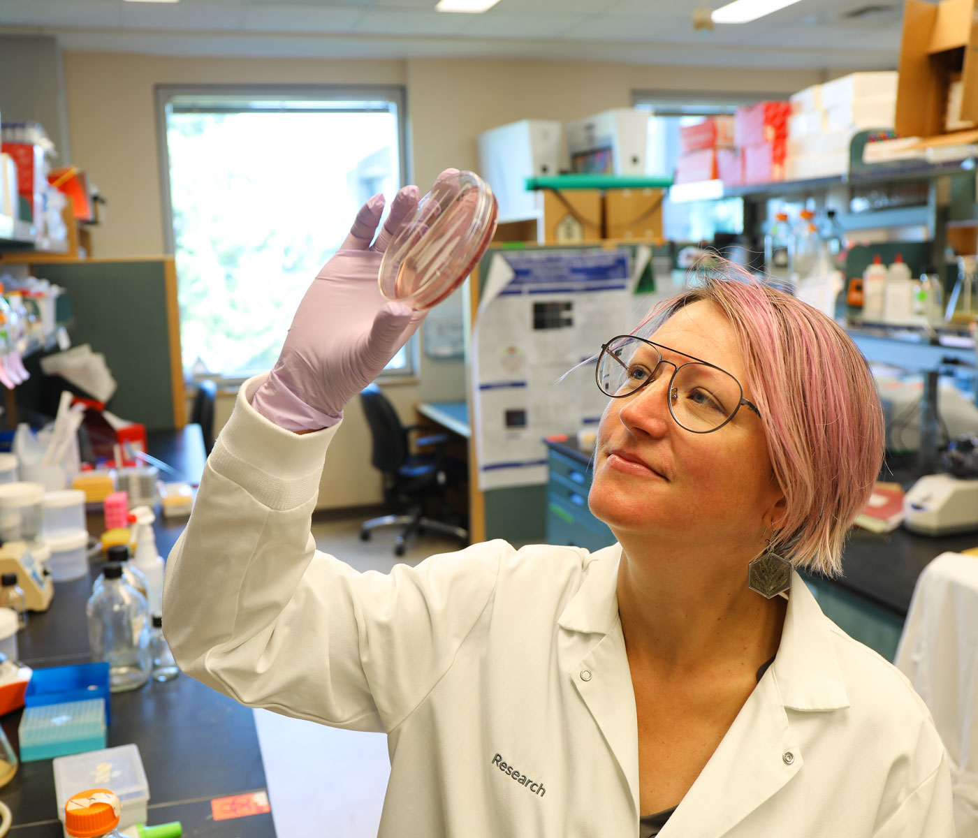 Isabella Rauch, Ph.D., wears pink hair and a white coat and looks at a petrie dish