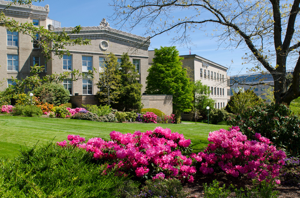 Mackenzie Hall on a sunny day with pink flowers in the foreground.